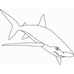 Dibujo para colorear: Tiburón (Animales) #14917 - Dibujos para Colorear e Imprimir Gratis