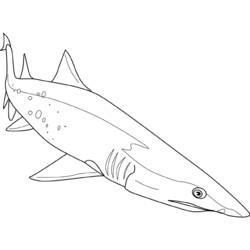Dibujo para colorear: Tiburón (Animales) #14949 - Dibujos para Colorear e Imprimir Gratis
