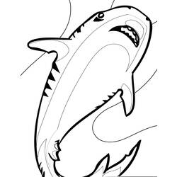 Dibujo para colorear: Tiburón (Animales) #14955 - Dibujos para Colorear e Imprimir Gratis