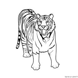 Dibujo para colorear: Tigre (Animales) #13595 - Dibujos para Colorear e Imprimir Gratis