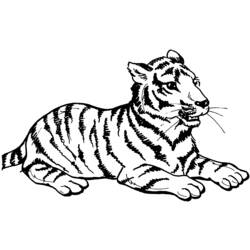 Dibujo para colorear: Tigre (Animales) #13597 - Dibujos para Colorear e Imprimir Gratis