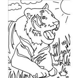 Dibujo para colorear: Tigre (Animales) #13602 - Dibujos para Colorear e Imprimir Gratis