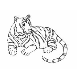 Dibujo para colorear: Tigre (Animales) #13604 - Dibujos para Colorear e Imprimir Gratis