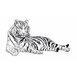 Dibujo para colorear: Tigre (Animales) #13607 - Dibujos para Colorear e Imprimir Gratis
