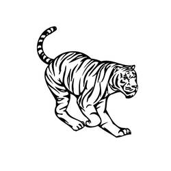 Dibujo para colorear: Tigre (Animales) #13611 - Dibujos para Colorear e Imprimir Gratis