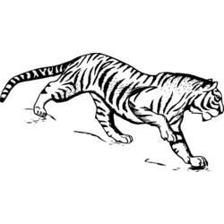 Dibujo para colorear: Tigre (Animales) #13613 - Dibujos para Colorear e Imprimir Gratis