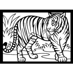 Dibujo para colorear: Tigre (Animales) #13615 - Dibujos para Colorear e Imprimir Gratis
