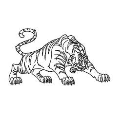 Dibujo para colorear: Tigre (Animales) #13617 - Dibujos para Colorear e Imprimir Gratis