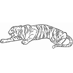 Dibujo para colorear: Tigre (Animales) #13637 - Dibujos para Colorear e Imprimir Gratis