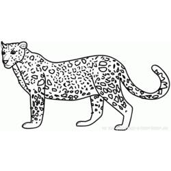 Dibujo para colorear: Tigre (Animales) #13649 - Dibujos para Colorear e Imprimir Gratis