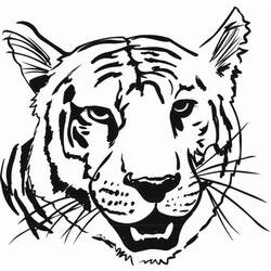 Dibujo para colorear: Tigre (Animales) #13666 - Dibujos para Colorear e Imprimir Gratis