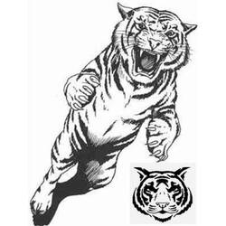 Dibujo para colorear: Tigre (Animales) #13672 - Dibujos para Colorear e Imprimir Gratis