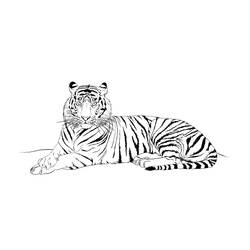Dibujo para colorear: Tigre (Animales) #13676 - Dibujos para Colorear e Imprimir Gratis