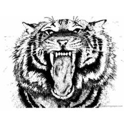 Dibujo para colorear: Tigre (Animales) #13679 - Dibujos para Colorear e Imprimir Gratis