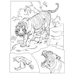 Dibujo para colorear: Tigre (Animales) #13683 - Dibujos para Colorear e Imprimir Gratis