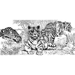Dibujo para colorear: Tigre (Animales) #13691 - Dibujos para Colorear e Imprimir Gratis