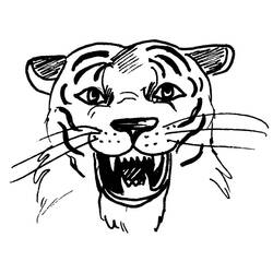 Dibujo para colorear: Tigre (Animales) #13716 - Dibujos para Colorear e Imprimir Gratis