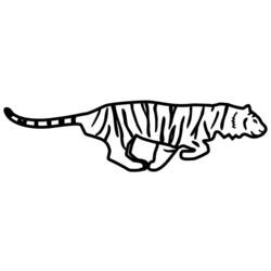 Dibujo para colorear: Tigre (Animales) #13723 - Dibujos para Colorear e Imprimir Gratis