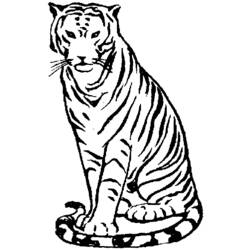 Dibujo para colorear: Tigre (Animales) #13736 - Dibujos para Colorear e Imprimir Gratis