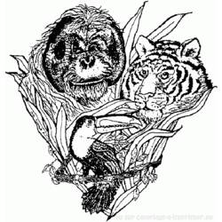 Dibujo para colorear: Tigre (Animales) #13756 - Dibujos para Colorear e Imprimir Gratis