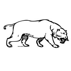 Dibujo para colorear: Tigre (Animales) #13759 - Dibujos para Colorear e Imprimir Gratis