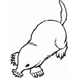 Dibujo para colorear: Topo (Animales) #19383 - Dibujos para Colorear e Imprimir Gratis