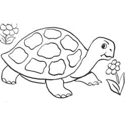 Dibujo para colorear: Tortuga (Animales) #13391 - Dibujos para Colorear e Imprimir Gratis