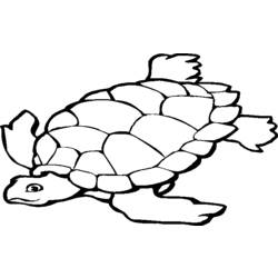 Dibujo para colorear: Tortuga (Animales) #13396 - Dibujos para Colorear e Imprimir Gratis