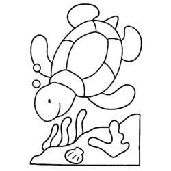 Dibujo para colorear: Tortuga (Animales) #13415 - Dibujos para Colorear e Imprimir Gratis