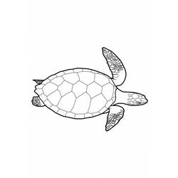 Dibujo para colorear: Tortuga (Animales) #13421 - Dibujos para Colorear e Imprimir Gratis