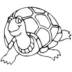 Dibujo para colorear: Tortuga (Animales) #13423 - Dibujos para Colorear e Imprimir Gratis