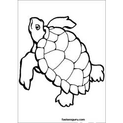 Dibujo para colorear: Tortuga (Animales) #13429 - Dibujos para Colorear e Imprimir Gratis
