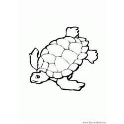 Dibujo para colorear: Tortuga (Animales) #13433 - Dibujos para Colorear e Imprimir Gratis