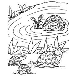 Dibujo para colorear: Tortuga (Animales) #13468 - Dibujos para Colorear e Imprimir Gratis