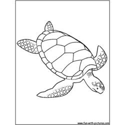 Dibujo para colorear: Tortuga (Animales) #13485 - Dibujos para Colorear e Imprimir Gratis
