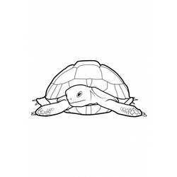 Dibujo para colorear: Tortuga (Animales) #13507 - Dibujos para Colorear e Imprimir Gratis