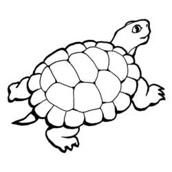 Dibujo para colorear: Tortuga (Animales) #13514 - Dibujos para Colorear e Imprimir Gratis