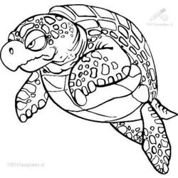Dibujo para colorear: Tortuga (Animales) #13536 - Dibujos para Colorear e Imprimir Gratis