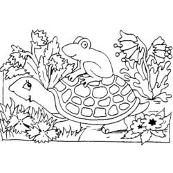 Dibujo para colorear: Tortuga (Animales) #13557 - Dibujos para Colorear e Imprimir Gratis