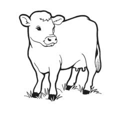 Dibujo para colorear: Vaca (Animales) #13189 - Dibujos para Colorear e Imprimir Gratis