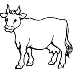 Dibujo para colorear: Vaca (Animales) #13195 - Dibujos para Colorear e Imprimir Gratis