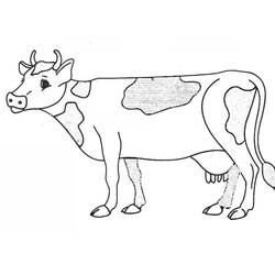 Dibujo para colorear: Vaca (Animales) #13227 - Dibujos para Colorear e Imprimir Gratis