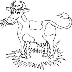 Dibujo para colorear: Vaca (Animales) #13233 - Dibujos para Colorear e Imprimir Gratis