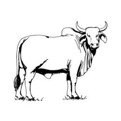 Dibujo para colorear: Vaca (Animales) #13260 - Dibujos para Colorear e Imprimir Gratis