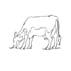 Dibujo para colorear: Vaca (Animales) #13347 - Dibujos para Colorear e Imprimir Gratis