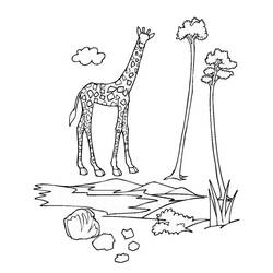 Dibujo para colorear: Zoo (Animales) #12652 - Dibujos para Colorear e Imprimir Gratis