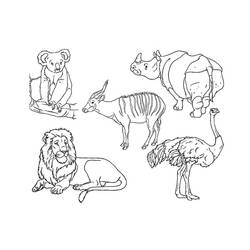 Dibujo para colorear: Zoo (Animales) #12671 - Dibujos para Colorear e Imprimir Gratis
