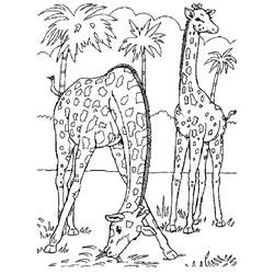 Dibujo para colorear: Zoo (Animales) #12703 - Dibujos para Colorear e Imprimir Gratis