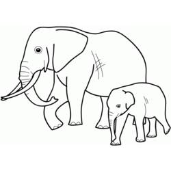 Dibujo para colorear: Zoo (Animales) #12728 - Dibujos para Colorear e Imprimir Gratis