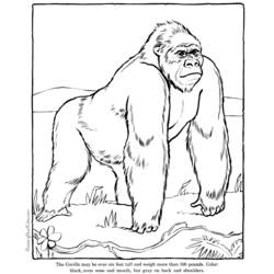 Dibujo para colorear: Zoo (Animales) #12736 - Dibujos para Colorear e Imprimir Gratis